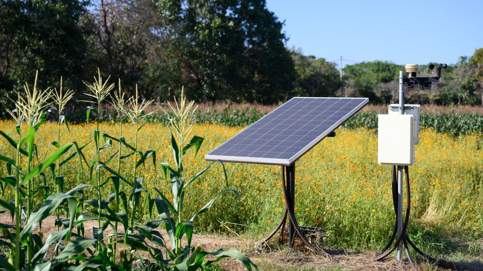 Solar Pump Operation