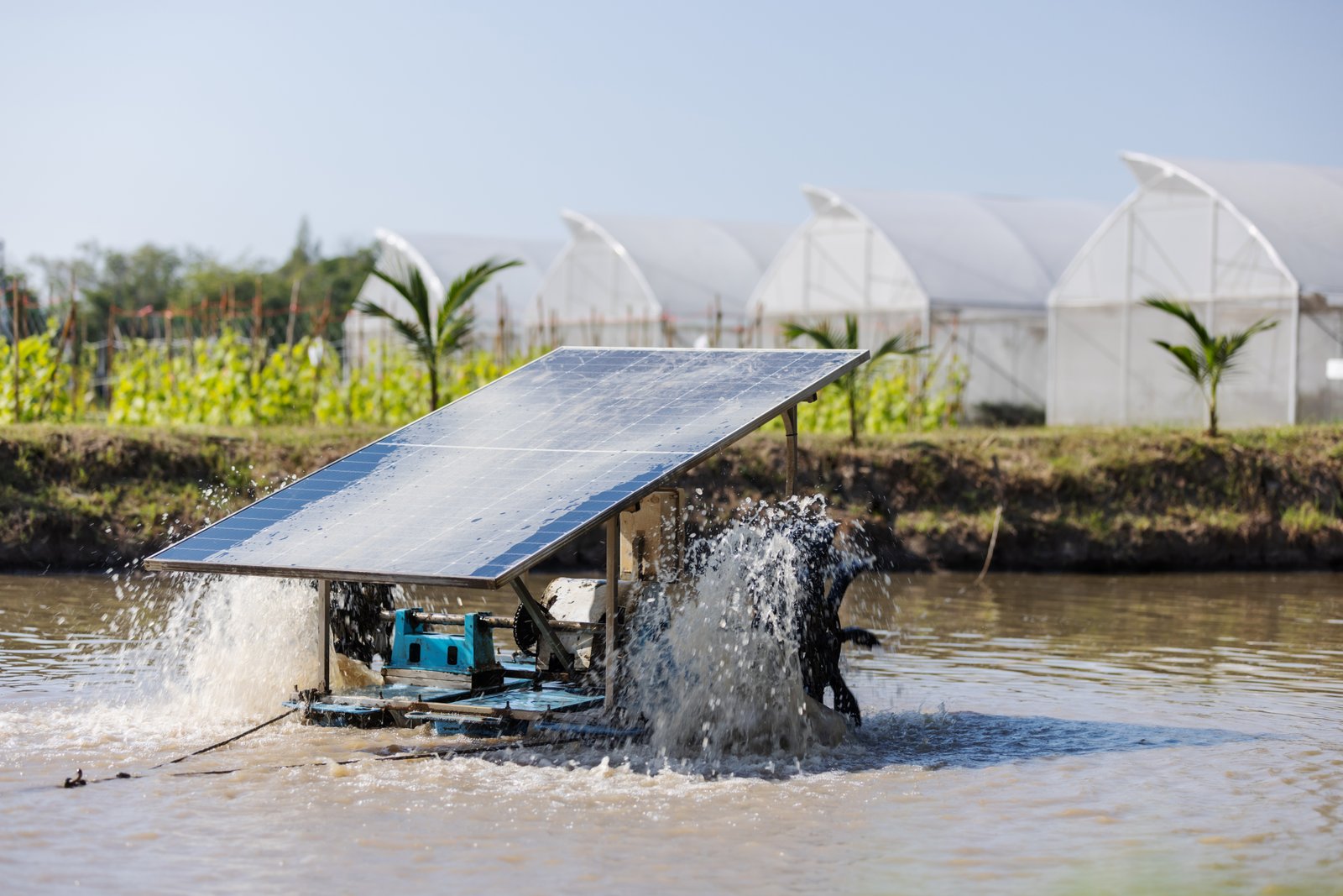 Solar Pump Setup